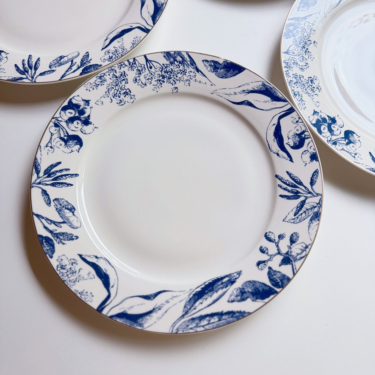 Mraynes Tuscany Gilded Rim Porcelain Dinner Plates (Set of 4)