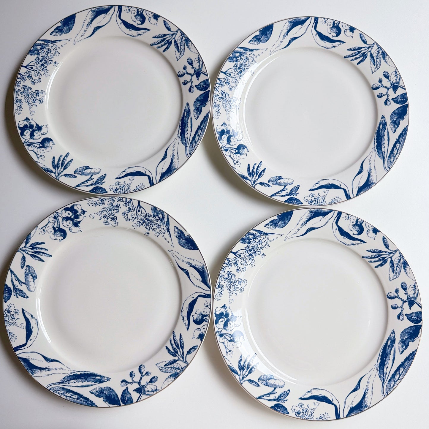 Mraynes Tuscany Gilded Rim Porcelain Dinner Plates (Set of 4)