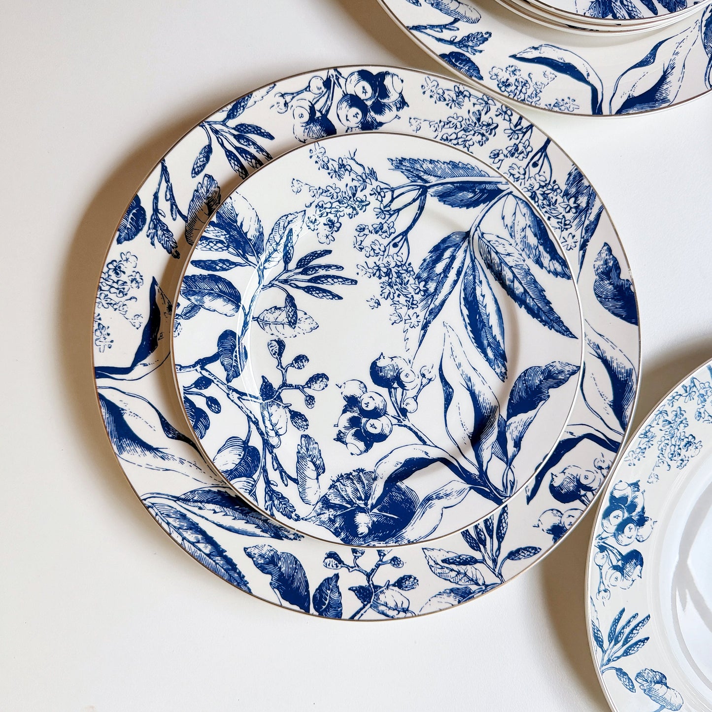 Mraynes Tuscany Gilded Rim Porcelain Salad Plates (Set of 4)