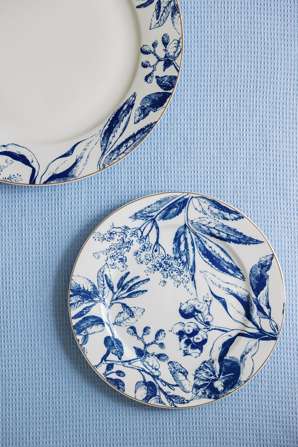 Mraynes Tuscany Gilded Rim Porcelain Salad Plates (Set of 4)