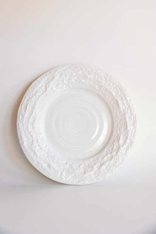 Mraynes Alpine Snow Porcelain Dinner Plates (Set of 4)