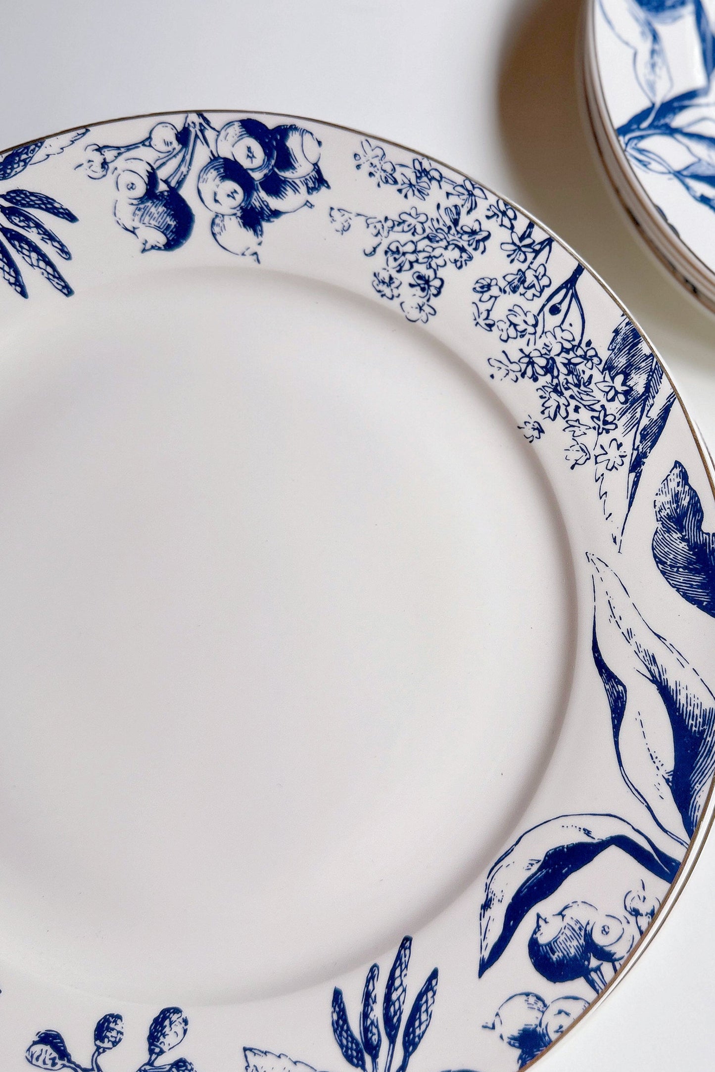 Mraynes Tuscany Gilded Rim Porcelain Dinner Plates (Set of 4)